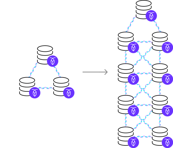 Scale